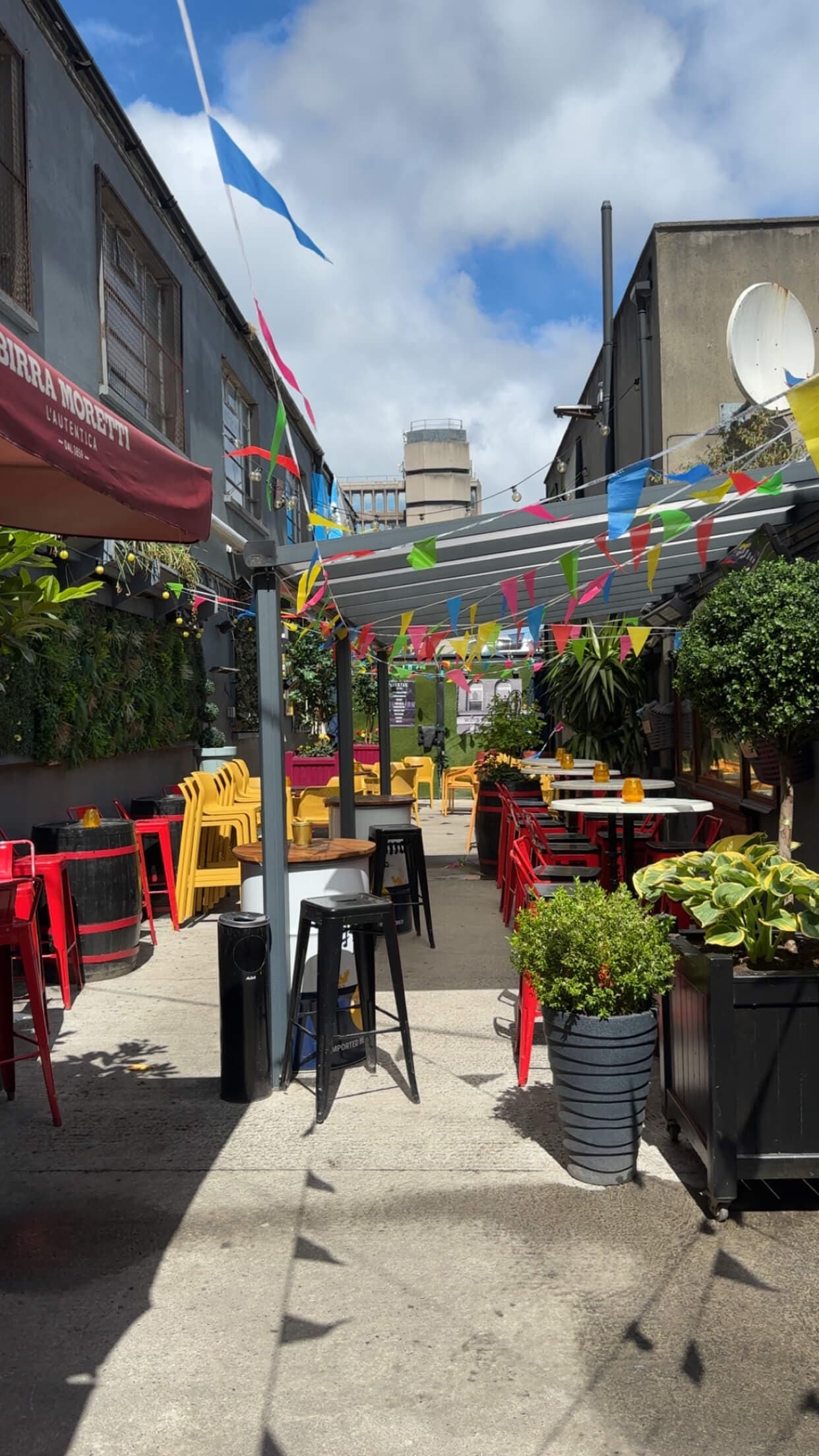 The beer garden behind Bohemian Pub — covered, colourful bunting, plants